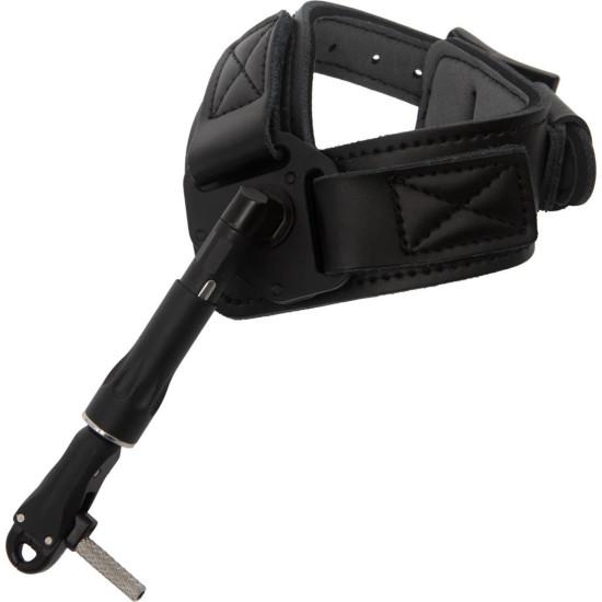 Trophy Ridge Judge Release
