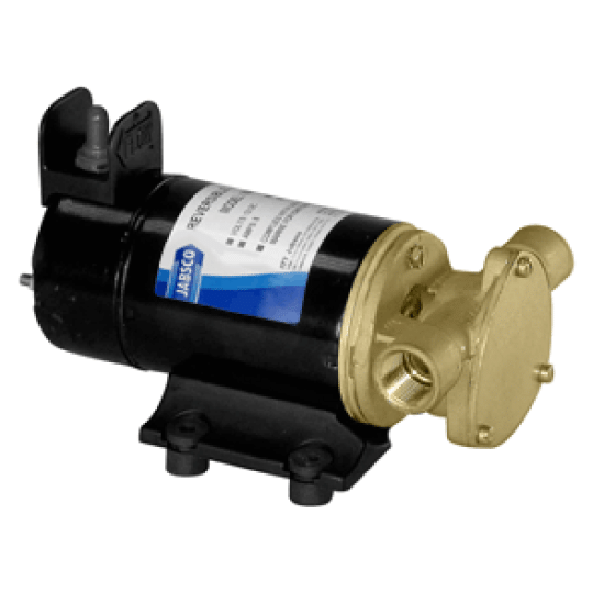 Jabsco Light Duty Reversible Diesel Transfer Pump, 18680-1000, 671880534680