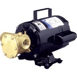 Jabsco Utility Pump W/Open Drip Proof Motor - 115V