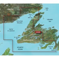 Garmin Bluechart  G2 Vision - Vca008R - Newfoundland West - Sd Card