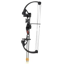 Bear Archery Brave Black RH Bow Set AYS300BR