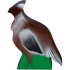 3Rivers Archery Dinks Grouse Foam Target