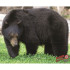 DuraMesh Archery Target Black Bear 25 in. x 32 in.