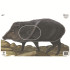 Maple Leaf NFAA Animal Faces Group 3 Javelina