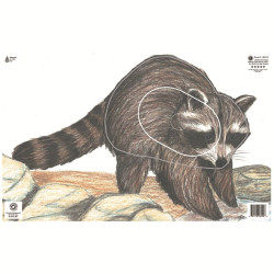 Maple Leaf NFAA Animal Faces Group 3 Raccoon