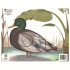 Maple Leaf NFAA Animal Faces Group 4 Duck