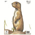 Maple Leaf NFAA Animal Faces Group 4 Prairie Dog