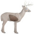 Rinehart Broadhead/Woodland Buck Insert