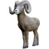 Rinehart ï¿½ Scale Signature Bighorn Sheep Target