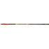 Black Eagle Spartan Arrows .001 400 2.5 in. Shield Cut 6 pk.