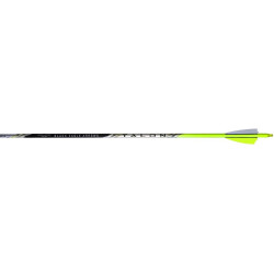 Black Eagle Talon Arrows .003 400 2.5 in. Shield Cut 6 pk.