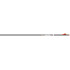Easton 6.5 Hunter Classic Arrows 300 2 in. Bully Vanes 6 pk.