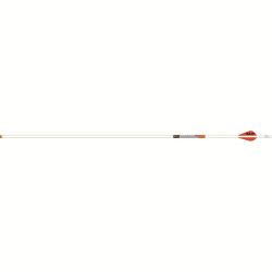 Easton 6.5 Whiteout Arrows 340 2 in. Bully Vanes 6 pk.