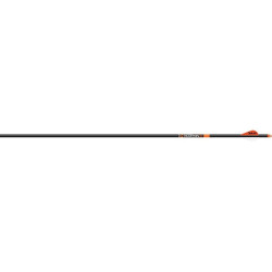 Easton 6.5mm Bowhunter Arrows 300 2 in. Bully Vanes 6 pk.