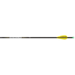 Easton X10 Parallel Pro Arrows 250 AAE Hybrid 26 vanes 6 pk.