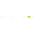 Easton X10 Parallel Pro Arrows 300 AAE Hybrid 26 vanes 6 pk.