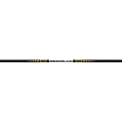Easton X10 Shafts 700 1 doz.