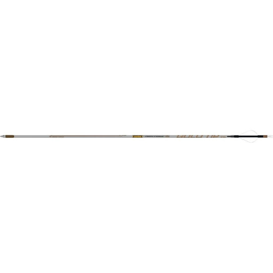 Gold Tip AirStrike Arrows 250 4 Fletch 6 pk.