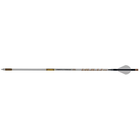 Gold Tip AirStrike Arrows 250 Raptor Vanes 6 pk.