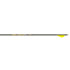 Gold Tip Hunter Pro Arrows 500 Raptor Vanes 6 pk.