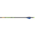 Gold Tip Hunter XT Arrows 300 Raptor Vanes 12 pk.