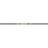 Gold Tip Hunter XT Shafts 250 1 doz.