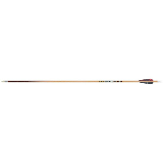 Gold Tip Traditional Classic Arrows 400 4 in. Feathers 6 pk