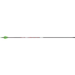 Victory VAP Sport Arrows 300 Raptor Vanes 6 pk.