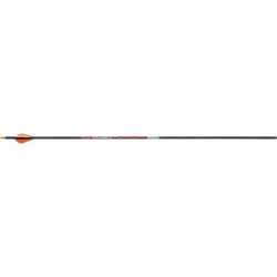 Victory VForce Sport Arrows 250 2 in. Vanes 6 pk.