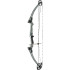 Genesis Bow Ash LH