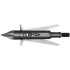 Slick Trick Torch Broadhead 100 gr. 3 pk.