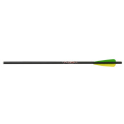 Excalibur Carbon FireBolts 20 in. 6 pk.