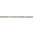 Gold Tip Ballistic Pro Crossbow Bolts 22 in. 3.5 in. Vanes 6 pk.