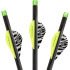 Lumenok Carbon Crossbow Bolts 20 in. Green Flat Nocks 3 pk.