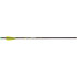 Victory XBolt Elite Crossbow Bolts 20 in. 3 pk.