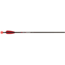 Victory XBolt Sport Lighted Crossbow Bolts 22 in. 3 pk.