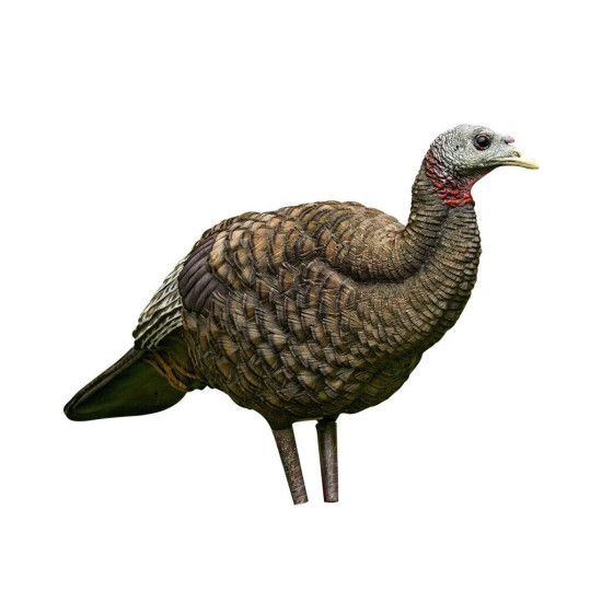Avian X LCD Breeder Hen Turkey Decoy - Lifelike Collapsible Hen (AVX-AVX8008)