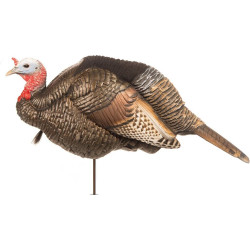 Dave Smith Decoys (DSD) A.C.E. 3/4 Strut Jake Turkey Decoy – Self-Healing & Ultra-Realistic