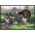 Custom Wild Turkey Area Rug – Strutting Boss Gobbler Design (37" x 52")