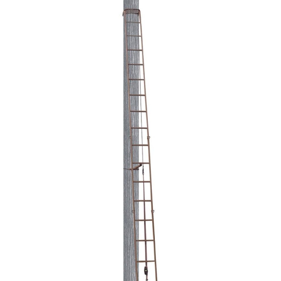 Trophy Treestands Hangtime Ladder