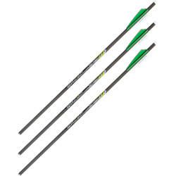 Allen Xbow Arrow 20" Cx600 3" Vanes Moon Nock 3Pk