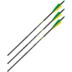 Allen Xbow Arrow 22" Cx600 3" Vanes Moon Nock 3Pk