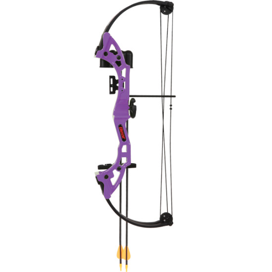 Bear Archery Youth Compound Bow Brave Rh Purple Age 8+, AYS300PL, 754806236414