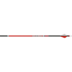 Carbon Express Arrow Maxima Red 400 W/2" Vanes 6Pk