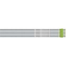 Easton 4Mm Emj Match Grade 340 6-Pack W/ 3" Aae Hybrid Vanes