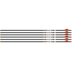 Easton Arrow 6.5Mm Hunter Clsc 300 W/2" Bully Vanes 6-Pack