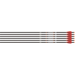 Easton Arrow 6.5Mm Match Grade 300 W/3" Aae Hybrid Vanes 6Pk