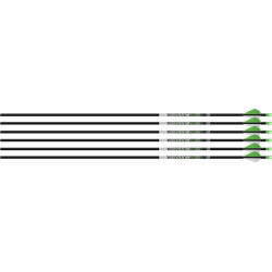 Easton Arrow Axis 5Mm 300 6-Pack W/ 2" Blazer Vanes