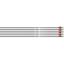 Easton Arrow Axis Pro 5Mm 400 Shafts 1-Dozen Match Grade