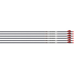 Easton Arrow Fmj 5Mm 300 W/ 2" Bully Vanes 6-Pack Autumn Org